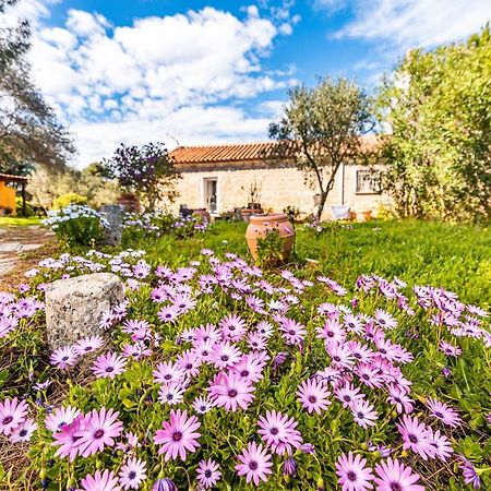 Вилла Casa Lilliosa Campavaglio Экстерьер фото